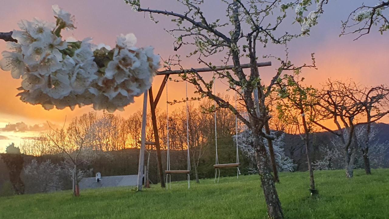 Vineyard Cottage Lan Na Hribu 세미치 외부 사진