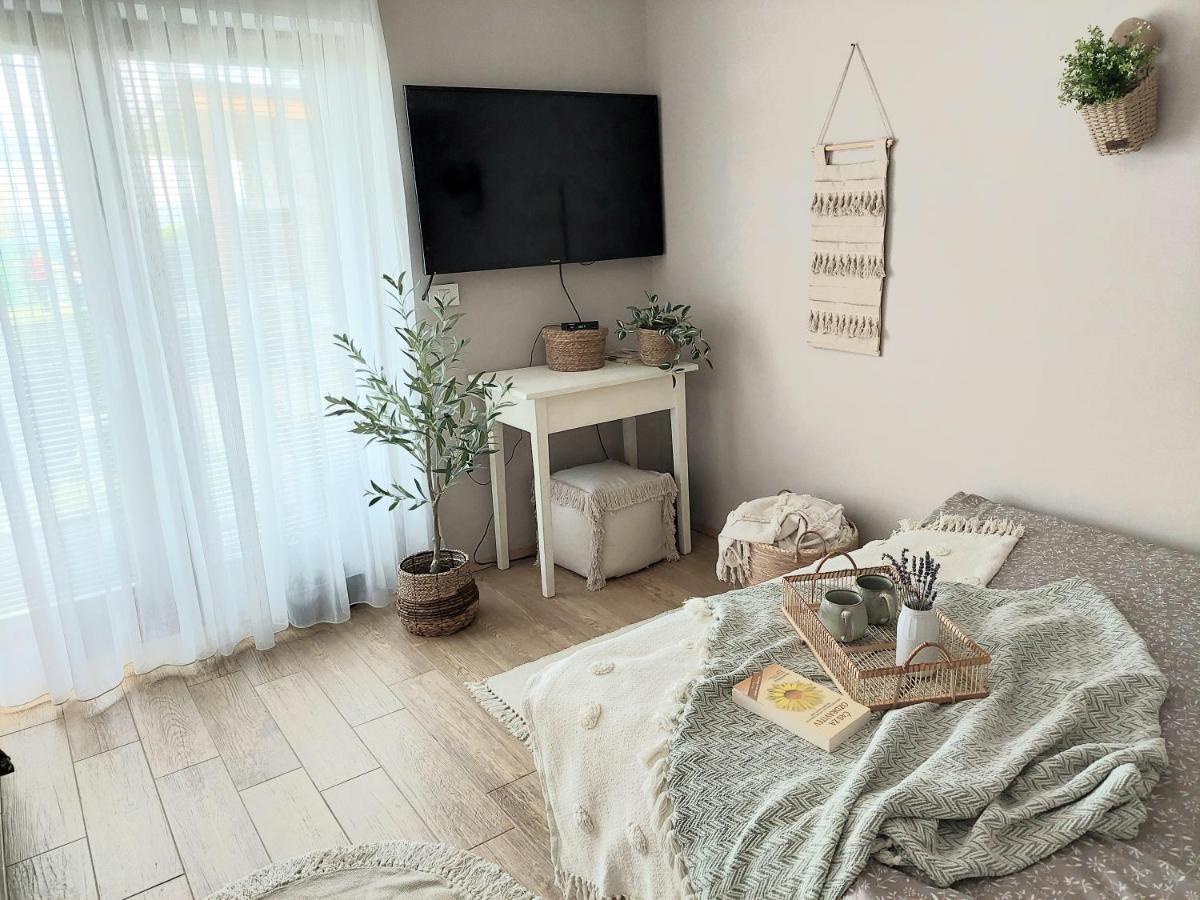 Vineyard Cottage Lan Na Hribu 세미치 외부 사진