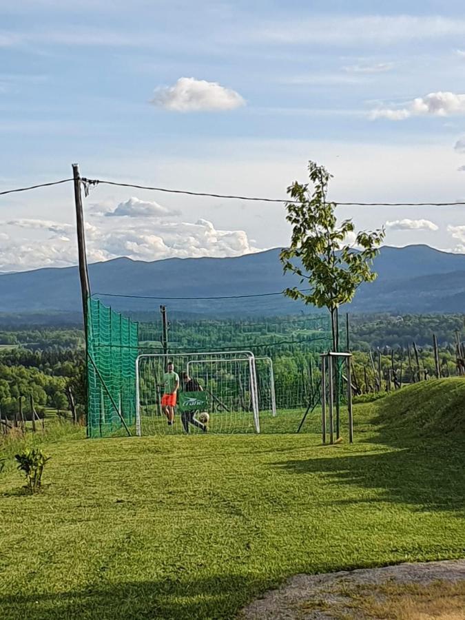 Vineyard Cottage Lan Na Hribu 세미치 외부 사진