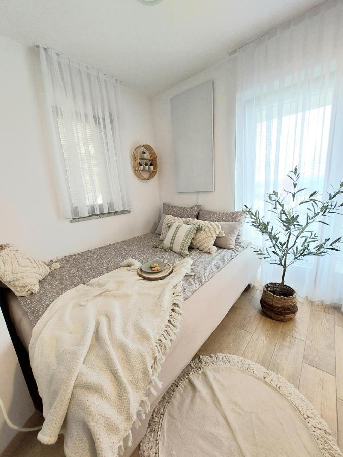 Vineyard Cottage Lan Na Hribu 세미치 외부 사진
